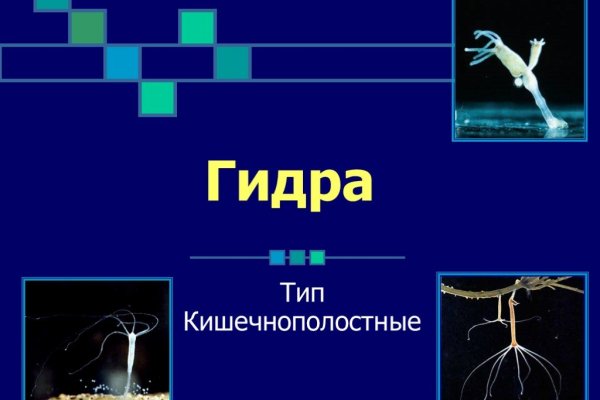 Сайт мега кракен