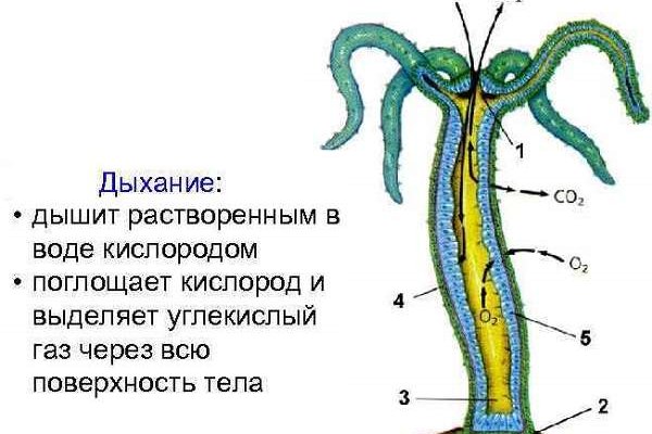 Кракен черный сайт