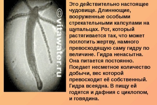 Ссылка на кракен тор